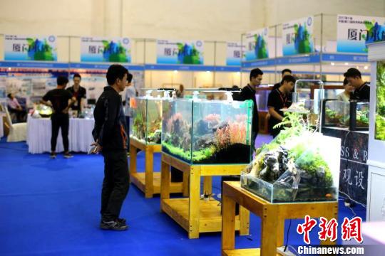 第十届厦门休闲渔业展启幕 凸显互动式海洋嘉年华(图3) 第十届厦门休闲渔业展启幕 凸显互动式海洋嘉年华(图3)