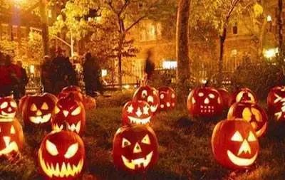 十个家庭九个挖南瓜 洋节成为消费热点是喜是