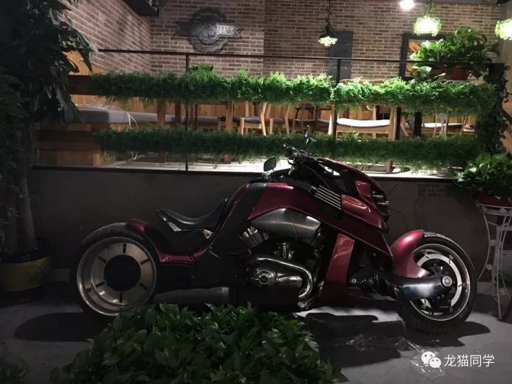 龙猫少年大篷车之旅第六站--民谣黑啤胡桃里