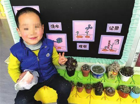 老师要求树叶上写拼音 小学生扛芭蕉叶交作业