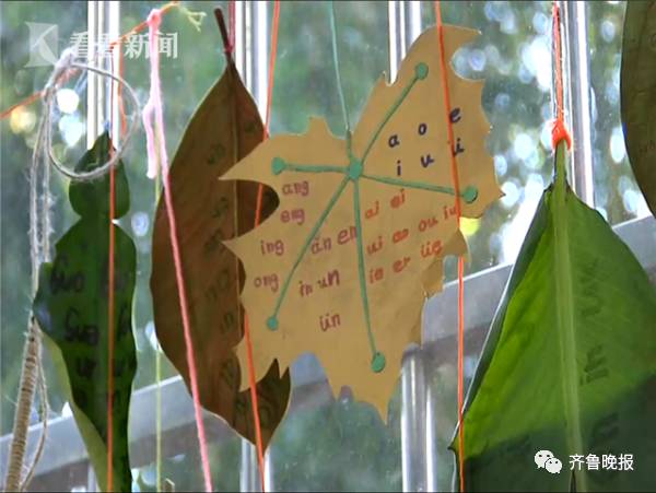 让在树叶上写拼音,小学生扛芭蕉叶交作业!亲爹