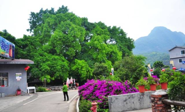 美翻天!推荐贵州各市州一个小村子,好多名字贵