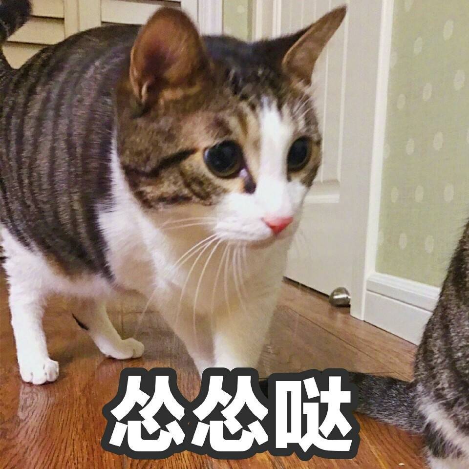你看过你对象的淘宝搜索记录吗?看完简直想分