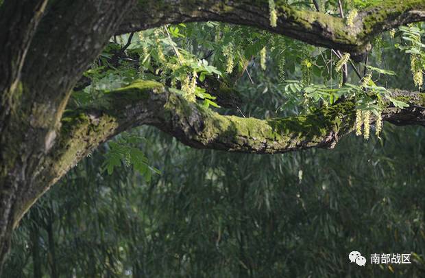 短篇小说 | 文清丽:送父亲上路|父亲|母亲|纸货