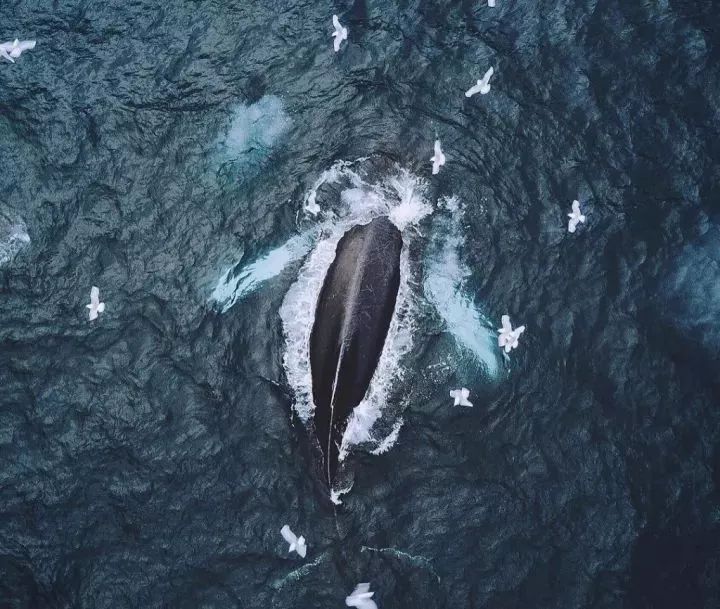 有一种成熟,叫沉默|小事|未成年少女|国学