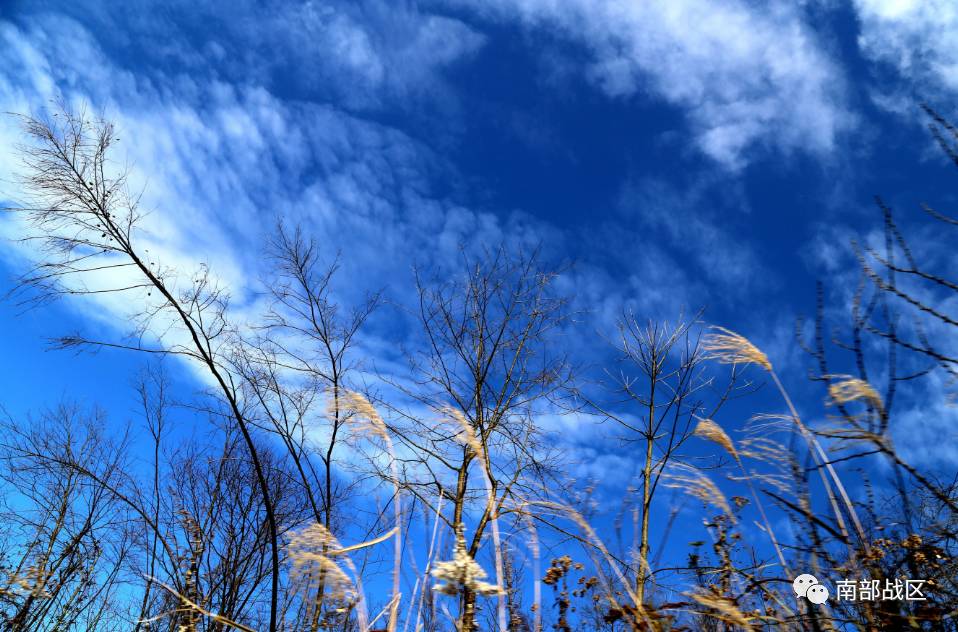 短篇小说 | 文清丽:送父亲上路|父亲|母亲|纸货