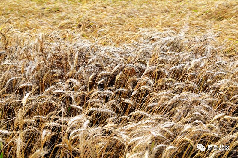 短篇小说 | 文清丽:送父亲上路|父亲|母亲|纸货