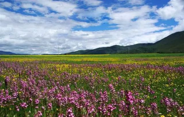 国家发话了,云南这些地方被正式命名!网友:我家