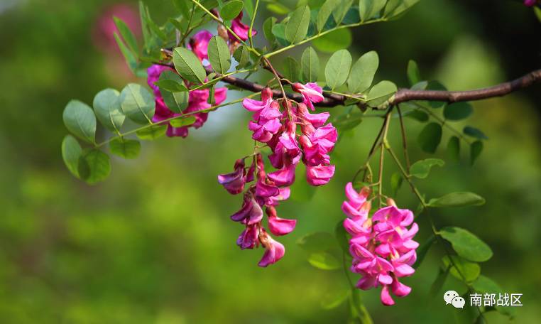 短篇小说 | 文清丽:送父亲上路|父亲|母亲|纸货