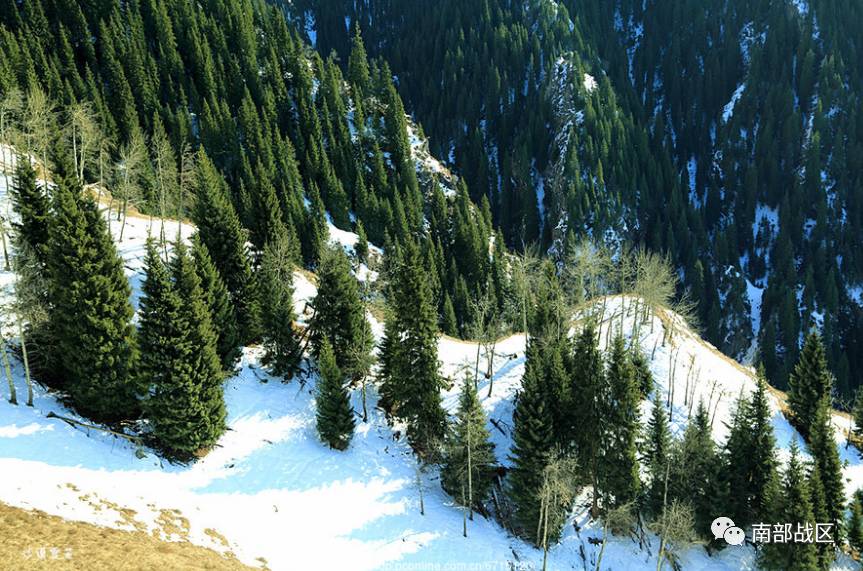 短篇小说 | 文清丽:送父亲上路|父亲|母亲|纸货