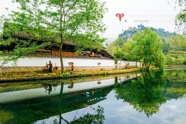 美翻天!推荐贵州各市州一个小村子,好多名字贵