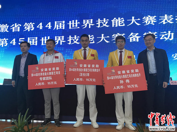 安徽省大奖世界技能大赛获奖者|安徽省|大赛|技能