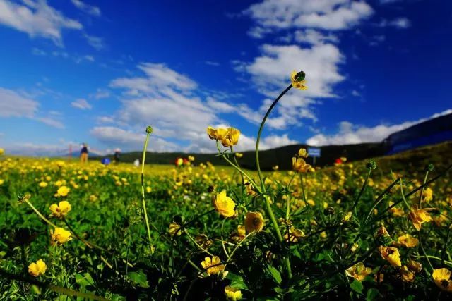 国家发话了,云南这些地方被正式命名!网友:我家