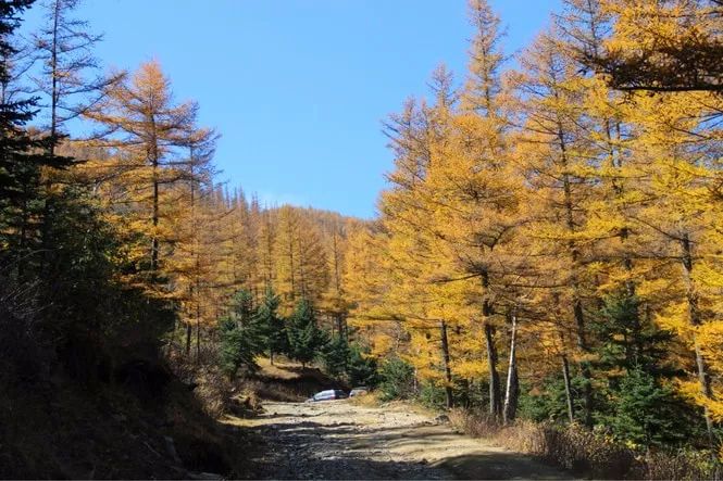 太原周边秋季最美登山攻略,还不赶紧走起|太原