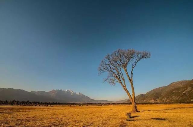 国家发话了,云南这些地方被正式命名!网友:我家