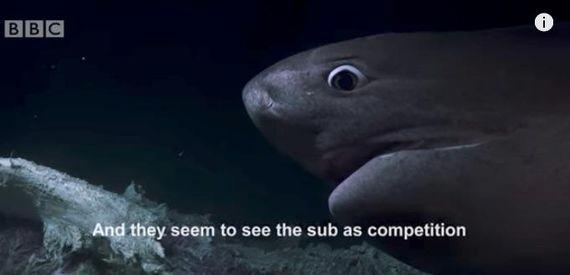 -f0Y-fynnnsc6151945.jpg