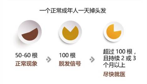 你说熬夜会猝死我不怕，你说熬夜会秃头?我立马去睡觉!90后妹子的脱发危机扎心了