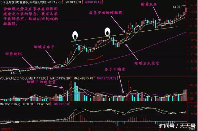 如何精选黑马股中的金蛤蟆形态,一旦熟记,必轻