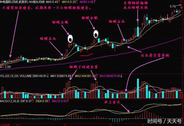 如何精选黑马股中的金蛤蟆形态,一旦熟记,必轻