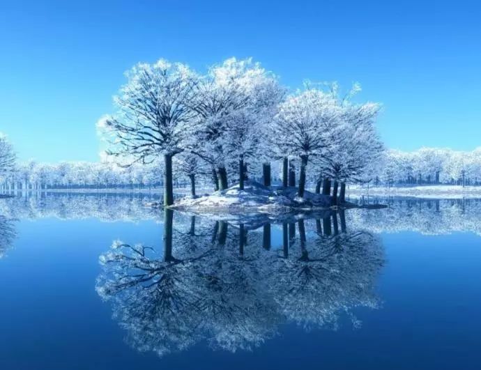 2017.11.05|辽篮今晚主场迎战广厦!|今日宜运动