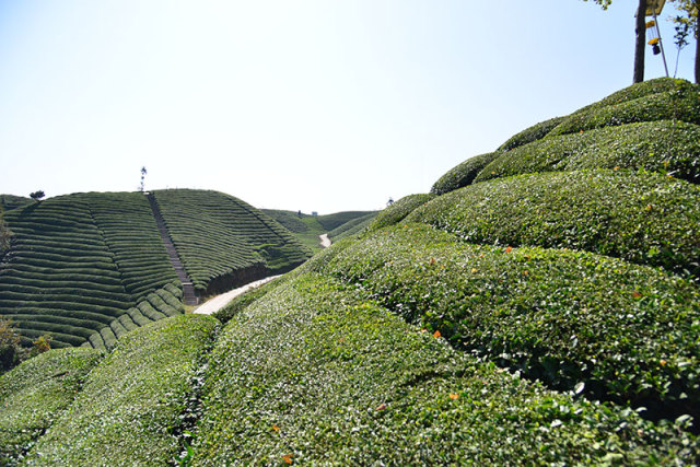 活动|重温红色历史 倾听扶贫故事--行进荆楚见