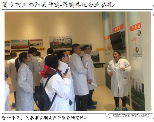 西南地区鸡蛋产业链考察调研报告|农产品|期货