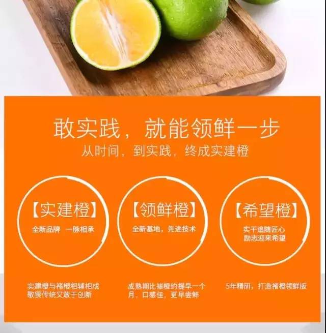 橙橙橙m OdMO-fynmzuk3796066.jpg