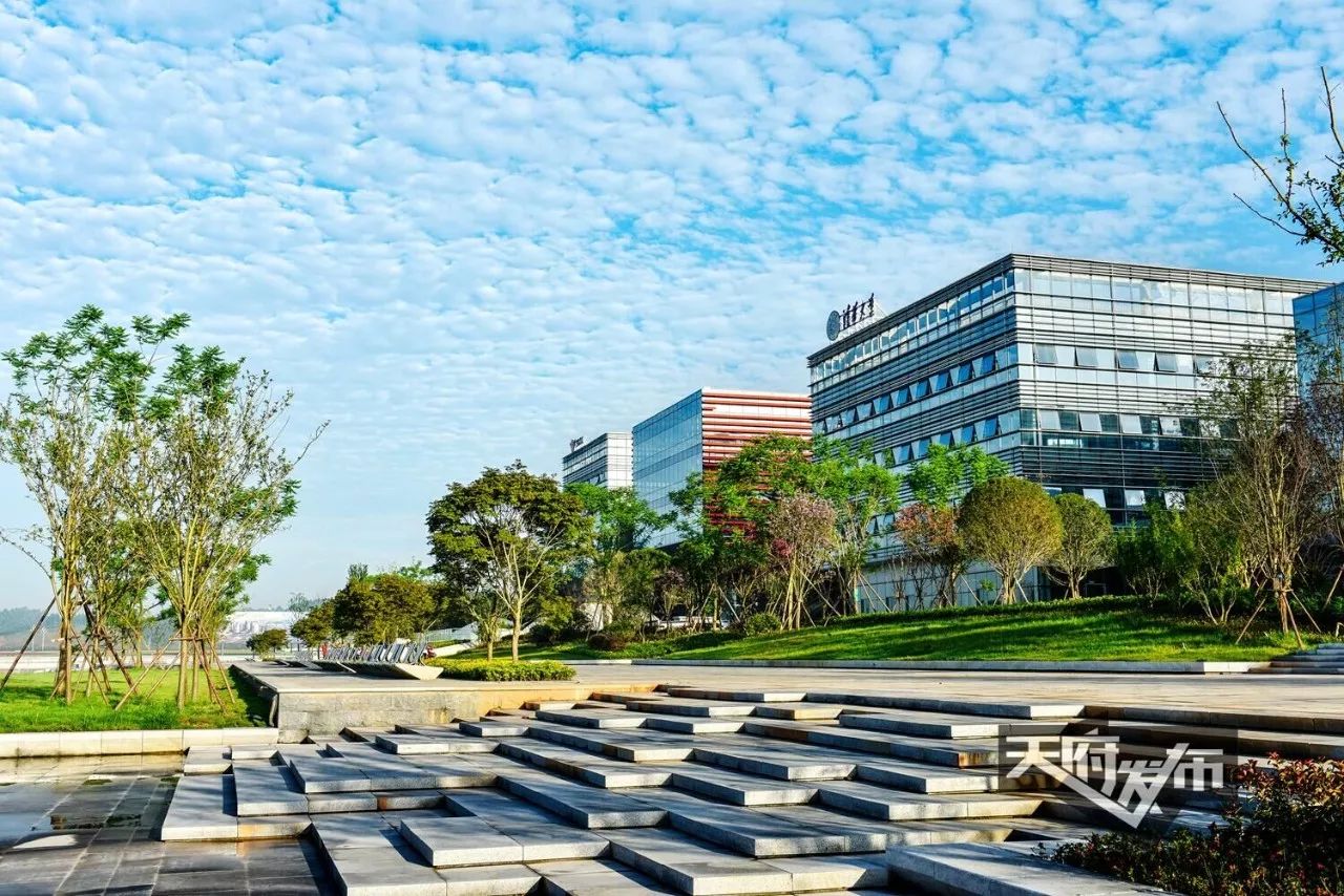 省长挂帅!四川一个区凭什么这么牛|高铁|天府|新