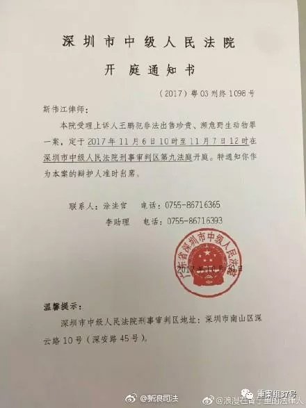 媒体:因6只鹦鹉获5年刑期 鹦鹉案二审会改判吗?