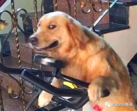 男子夜晚半身赤裸倒挂电线上 头距地面约两米(图)