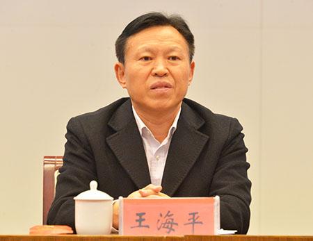 江苏淮安市人大原副主任王海平严重违纪被 双