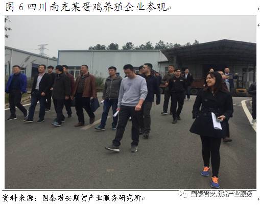 西南地区鸡蛋产业链考察调研报告|农产品|期货
