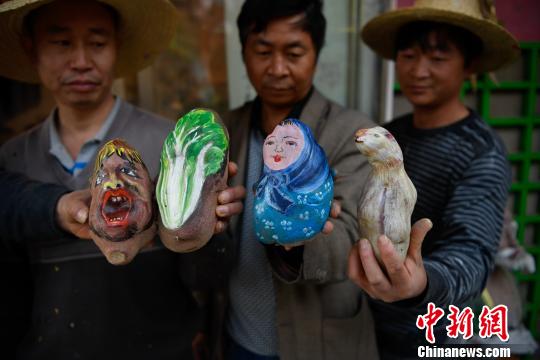 图为当天刘海一家人画好的土豆 刘冉阳 摄