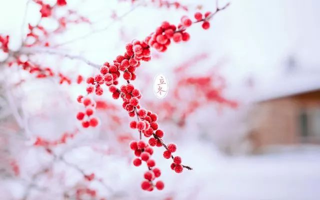 今日立冬 | 吃什么怎么做?这些你不知道的养生