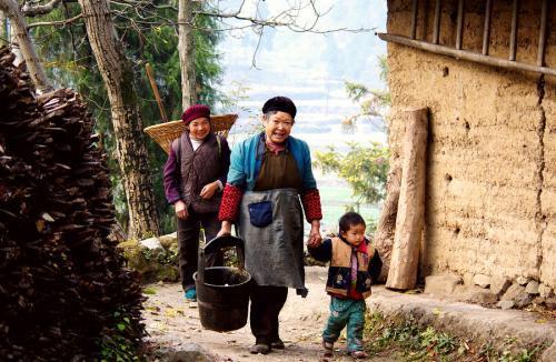 买最高档的农村养老保险,缴满15年,每月能拿多