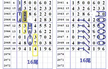 报】呦呦呦!这期有网友命中9头4尾!本期码王又