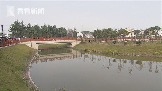 上海:1744条河道水质达标率93%|环保局|达标率