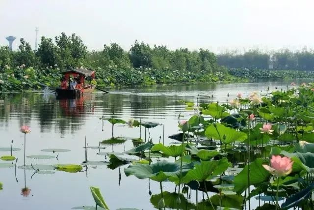 最全安徽重要湿地名录!个个都美到窒息,快来看
