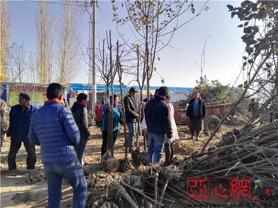 新疆福海县:聚焦牧区庭院经济发展 促进农牧民