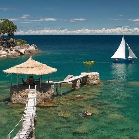 中国护照又双叒叕升值!最新免签落地签清单,新