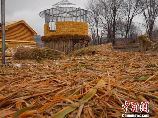 全部工程预计还需一周时间 苍雁 摄