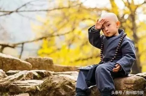 贵州银杏美景+小和尚萌化网友,大家都在问:这