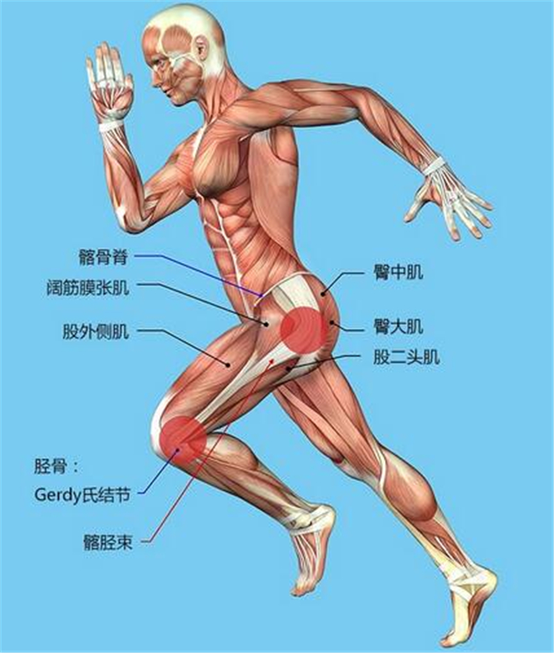 光休息就能解决膝关节疼痛? 跑者侥幸可致残_跑步频道_新浪竞技风暴_新浪网