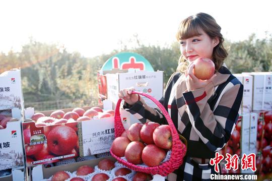 新疆阿克苏首批冰糖心苹果专列发往浙江|浙江