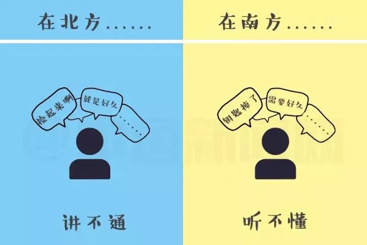 北方人囤白菜过冬,南方人震惊了:白菜能升值?