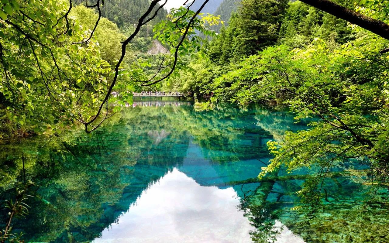 重磅!九寨沟重建规划出炉,三年后等你归来!|规