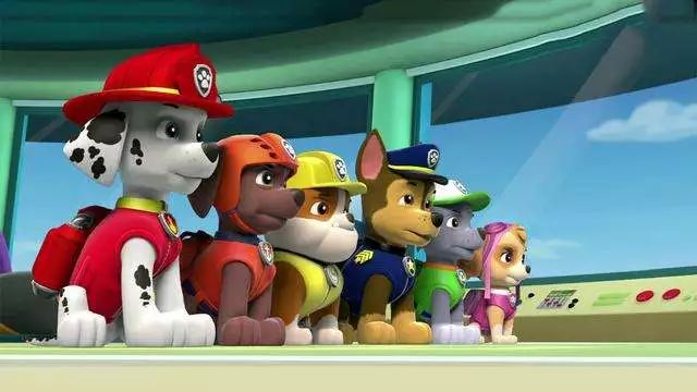 汪汪队立大功!流浪狗到联合国当保安|联合国|警犬|拉布拉多_新浪新闻