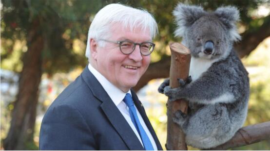 德国总统施泰因迈尔的旅行日记|施泰因迈尔|默克尔|新西兰-商虎中国电商资讯