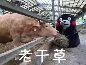 昆明娃不会说方言!这13所幼儿园试验方言教学