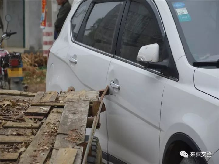 当小白马遇上霸王龙,胜负究竟会如何?